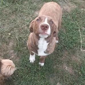 Meet your Posher, Maverick